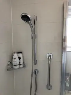 Mira Shower Head
