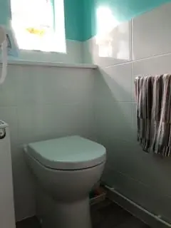 Toilet Installed