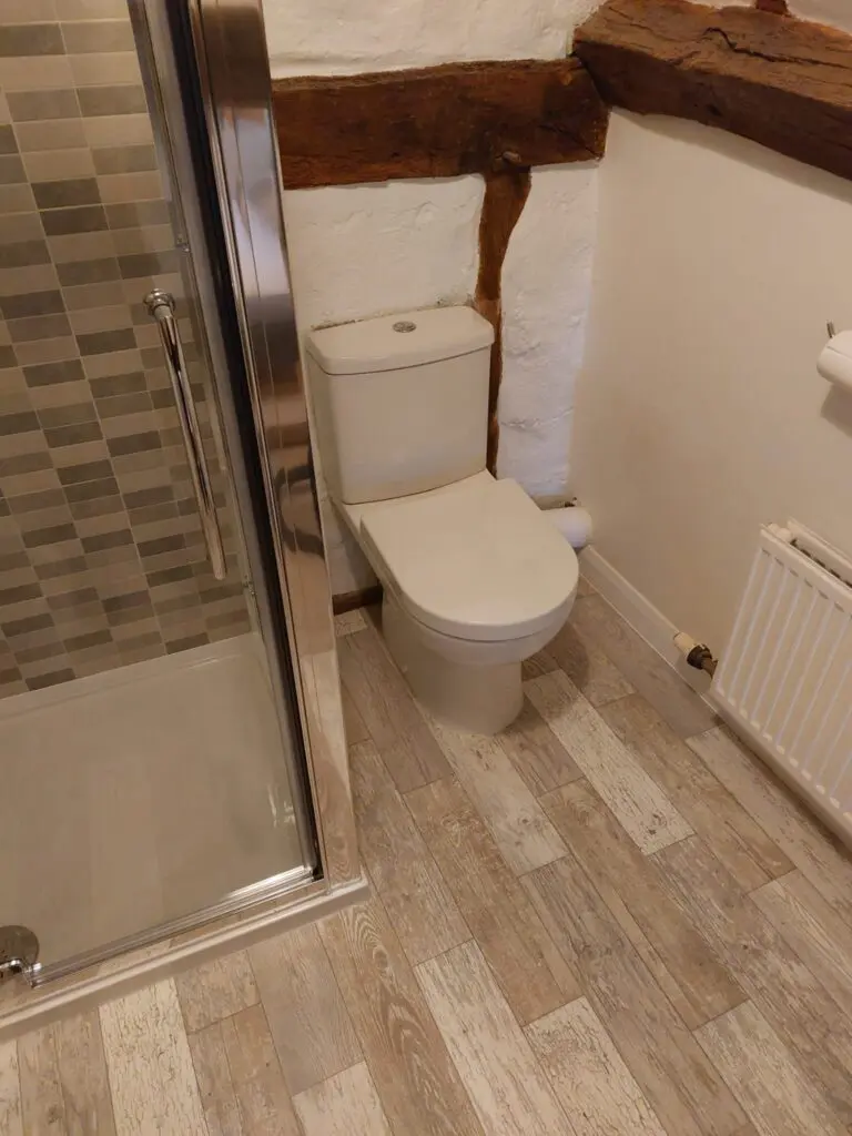 Lucy close coupled wc