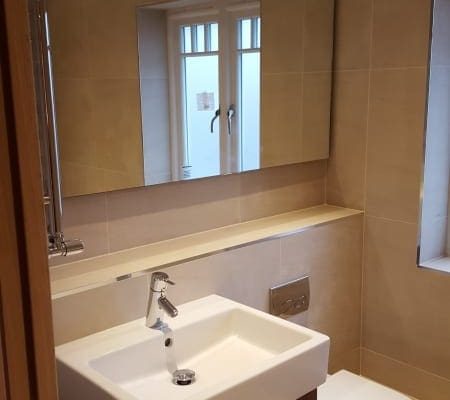 Sink Installation with Toilet