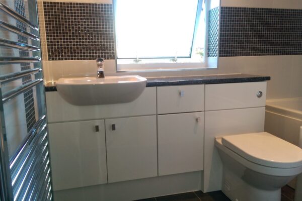 Bathroom Sink with Cabinets & Toilet Install