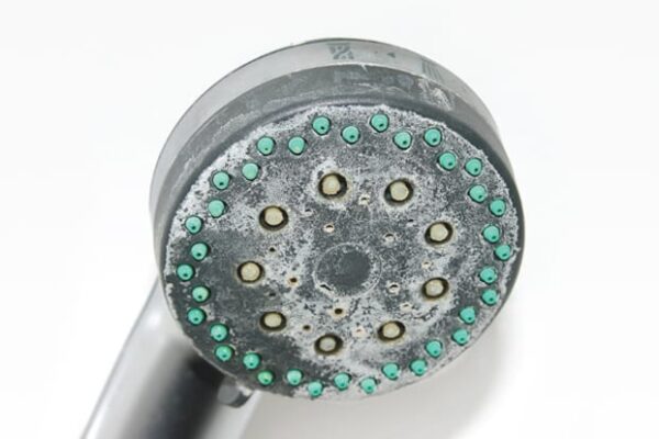 shower-head-scaled-1 Limescaled Shower Head