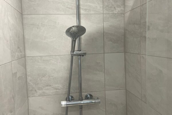 Bristan dual shower