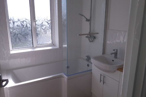 Shower Bath, screen and panel