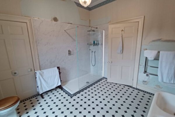 Lakes fixed shower screen
