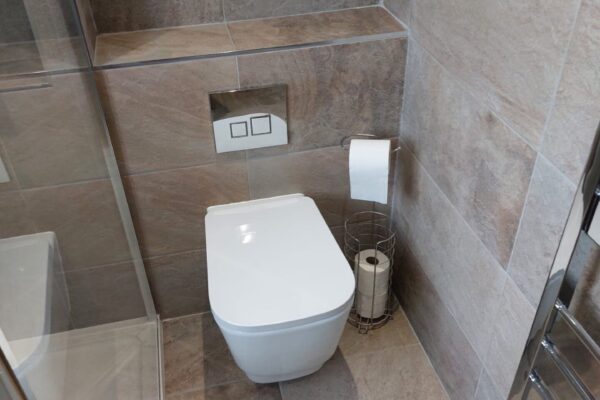 Wall hung toilet