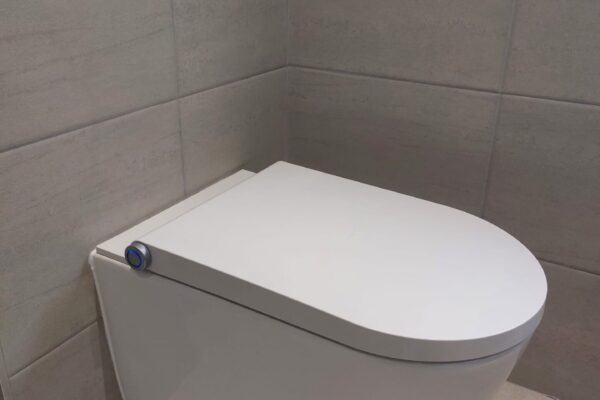 Smart Toilet