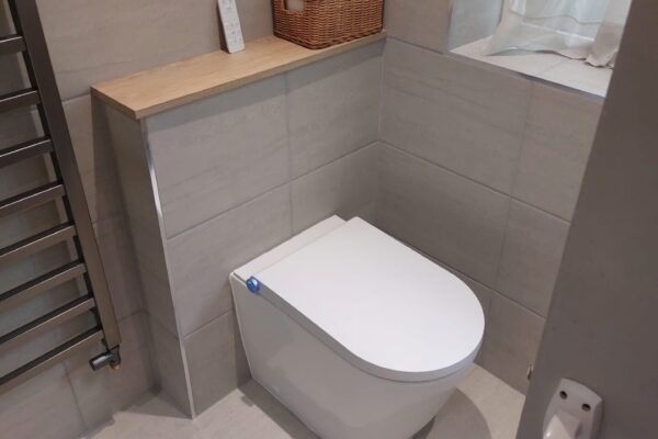 Smart Wc